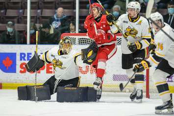 The Sarnia Sting taking on the Soo Greyhounds.  28 November 2021.  (Metcalfe Photography)