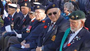 Remembrance Day ceremony at Sarnia's Veterans Park. November 11, 2014 (BlackburnNews.com photo)