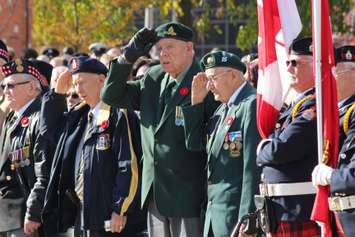 Veterans honoured at Remembrance Day ceremonies at the cenotaph in Windsor, November 11, 2014. (photo by Mike Vlasveld)
