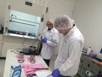 Aphria chemists work on producing a new cannabis oil product at the company's Leamington headquarters on February 19, 2016. (Photo by Ricardo Veneza)