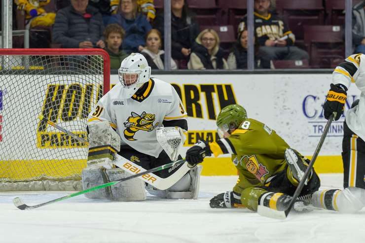 North Bay at Sarnia Sting, Nov 9, 2025. Photo by Metcalfe Photography. 