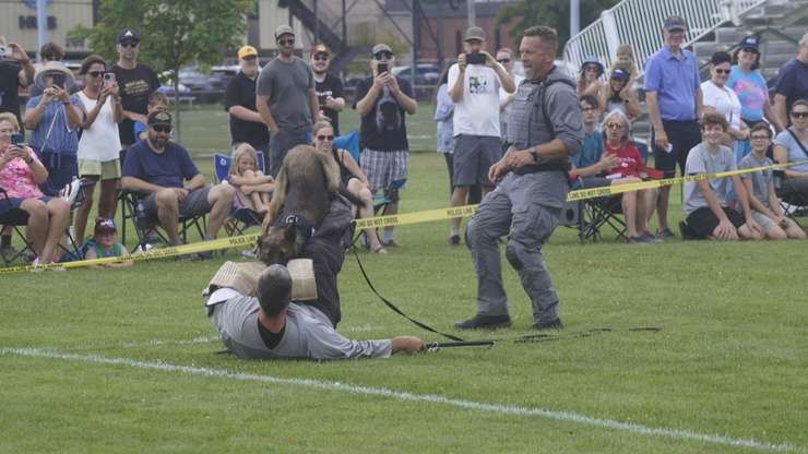 Police Dog Vader taking down a suspect in demonstration, August 9, 2024 (Photo by: Lindsay Newman/Blackburn Media)