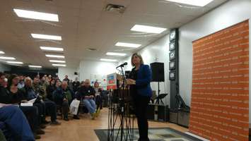 Ontario NDP leader Andrea Horwath speaks to a crowd in Sarnia during a nomination meeting. April 17, 2018. (Photo by Colin Gowdy)