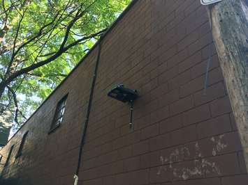 The Downtown Windsor Business Improvement Association (DWBIA) is expanding its downtown alley lighting initiative to improve safety and business. Oct 3, 2018. (Photo by Paul Pedro)