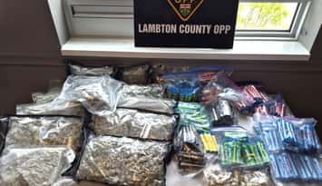 Cannabis seized from a traffic stop on May 15 by Lambton OPP. Submitted photo.