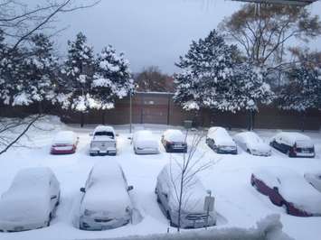 Snowfall in the Trillium Park apartment parking lot in Sarnia. November 12, 2019 Photo submitted by Lauren Heleena 