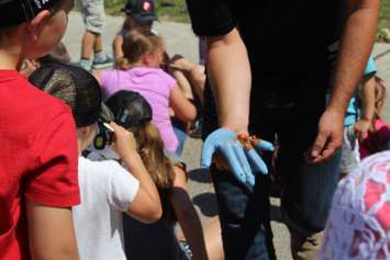 Volunteers show what a fake hand looks like after getting stuck in the baler gears of a tractor, August 24, 2016 (Photo by Jake Kislinsky)