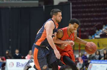 The Windsor Express take on the Island Storm at the WFCU Centre, November 13, 2014. (Photo courtesy of the Windsor Express)