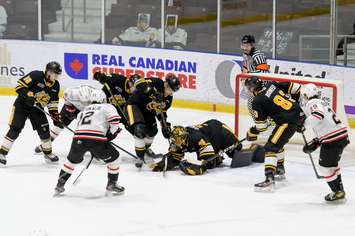 The Sarnia Sting versus Owen Sound, January 12, 2022.  (Metcalfe Photography)