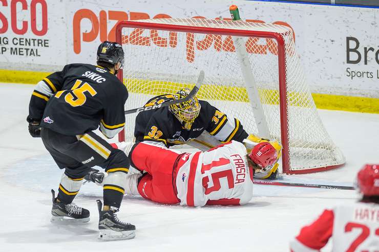 Sarnia Sting at home against the Soo Greyhounds January 19,2024 (photo courtesy: Metcalfe Photography)