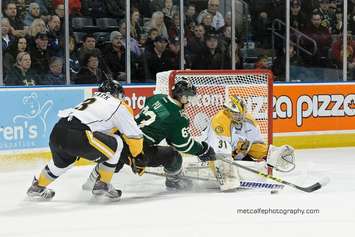 The London Knights take on the Sarnia Sting, February 7, 2016. (Photo courtesy of Metcalfe Photography)