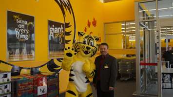 Owner Leo Suglio posts with Friendly, the Giant Tiger inside London Road retail store June 5, 2015 (BlackburnNews.com Photo by Briana Carnegie)