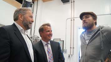 Federal NDP leader Tom Mulcair discusses tax rate cuts for small Canadian businesses at Refined Fool Brewery in Sarnia July 23, 2015 (BlackburnNews.com Photo by Briana Carnegie)