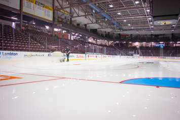 Arena team at Progressive Auto Sales Arena. Photo courtesy of the City of Sarnia Facebook page. 