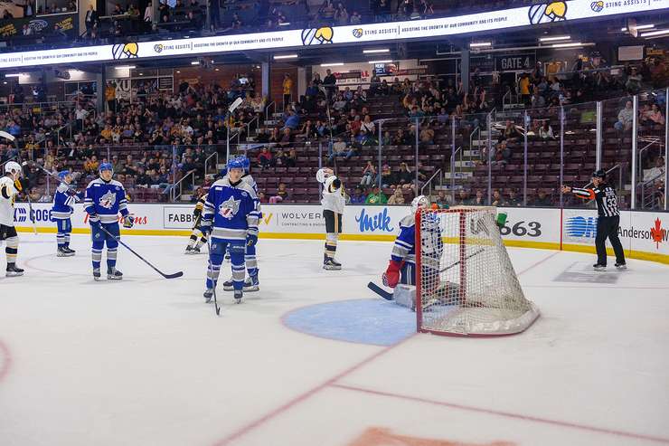 Sudbury Wolves at Sarnia Sting, Sept 26, 2025. Photo by Metcalfe Photography. 