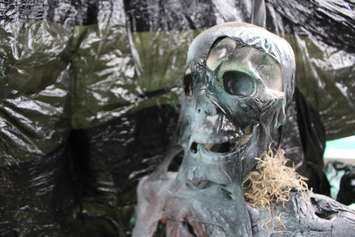 The 6th edition of Reaper's Gate Haunted Backyard Maze is put on at 3150 California Ave. in Windsor in support of Street Help. Photo taken October 21, 2016. (Photo by Ricardo Veneza)