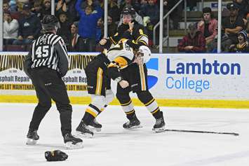 The Sarnia Sting host the Hamilton Bulldogs. 15 March 2023. (Metcalfe Photography)