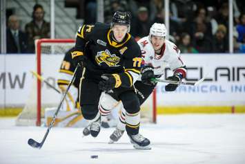 Sting defenceman Ethan Del Mastro carries the puck in Game 2 of Sarnia's opening round matchup versus the Guelph Storm. 2 April 2023. (Metcalfe Photography)