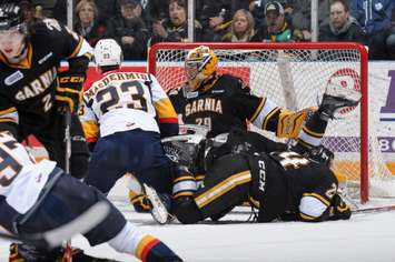 Sting vs Erie Mar. 31, 2015 (Photo courtesy of Metcalfe Photography)