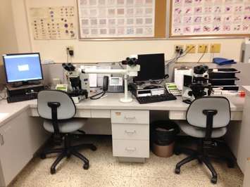 Some of the viewing equipment at the CKHA medical lab Apr 23 2015 (Photo by Simon Crouch) 