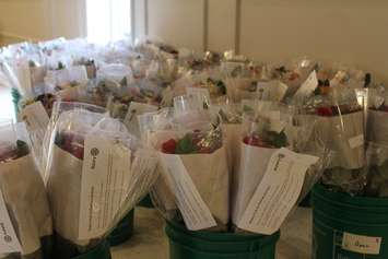 Roses waiting to be delivered during the 17th annual Roses for Rotary fundraiser. April 5, 2017. (Photo by Matt Weverink)