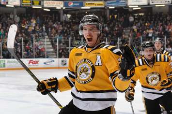 Daniel Nikandrov celebrates a Sting goal vs Erie, Gm 3, Mar. 29, 2015 (Photo courtesy of Metcalfe Photography)