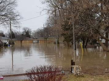 CK Fire & Water Rescue after evacuating homes on Siskind Ct. in Chatham on Feb 24, 2018 (Photo by Cheryl Johnstone)