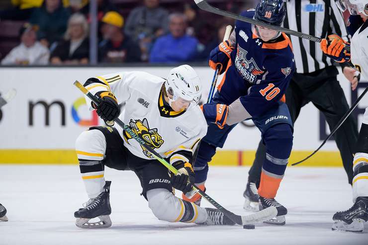 Flint Firebirds at Sarnia Sting, Sunday September 29, 2025. Photo by Metcalfe Photography. 
