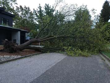 September 22, 2021 Storm Damage. Submitted photo.