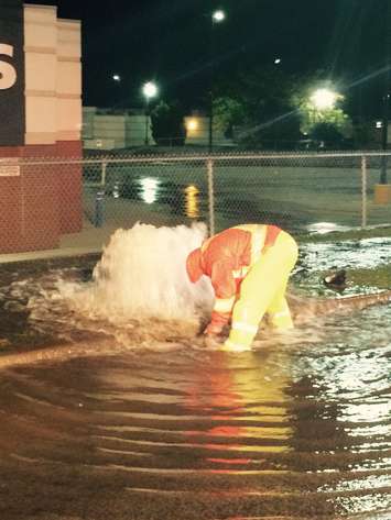 Emergency crews respond to Erie St. in Leamington after a vehicle collided with a fire hydrant, October 19, 2016. (Photo courtesy of the Leamington Fire Service) 