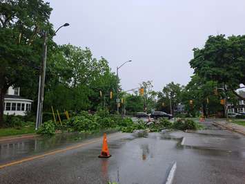 Storm damage in Chatham. June 1, 2022. Photo by Paul Pedro