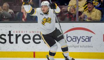 Liam Beamish celebrates a goal for the Sarnia Sting - Dec. 11/24 (Photo courtesy of Metcalfe Photography) 