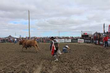 The rodeo at the IPM. September 22, 2018. (Photo by Natalia Vega).