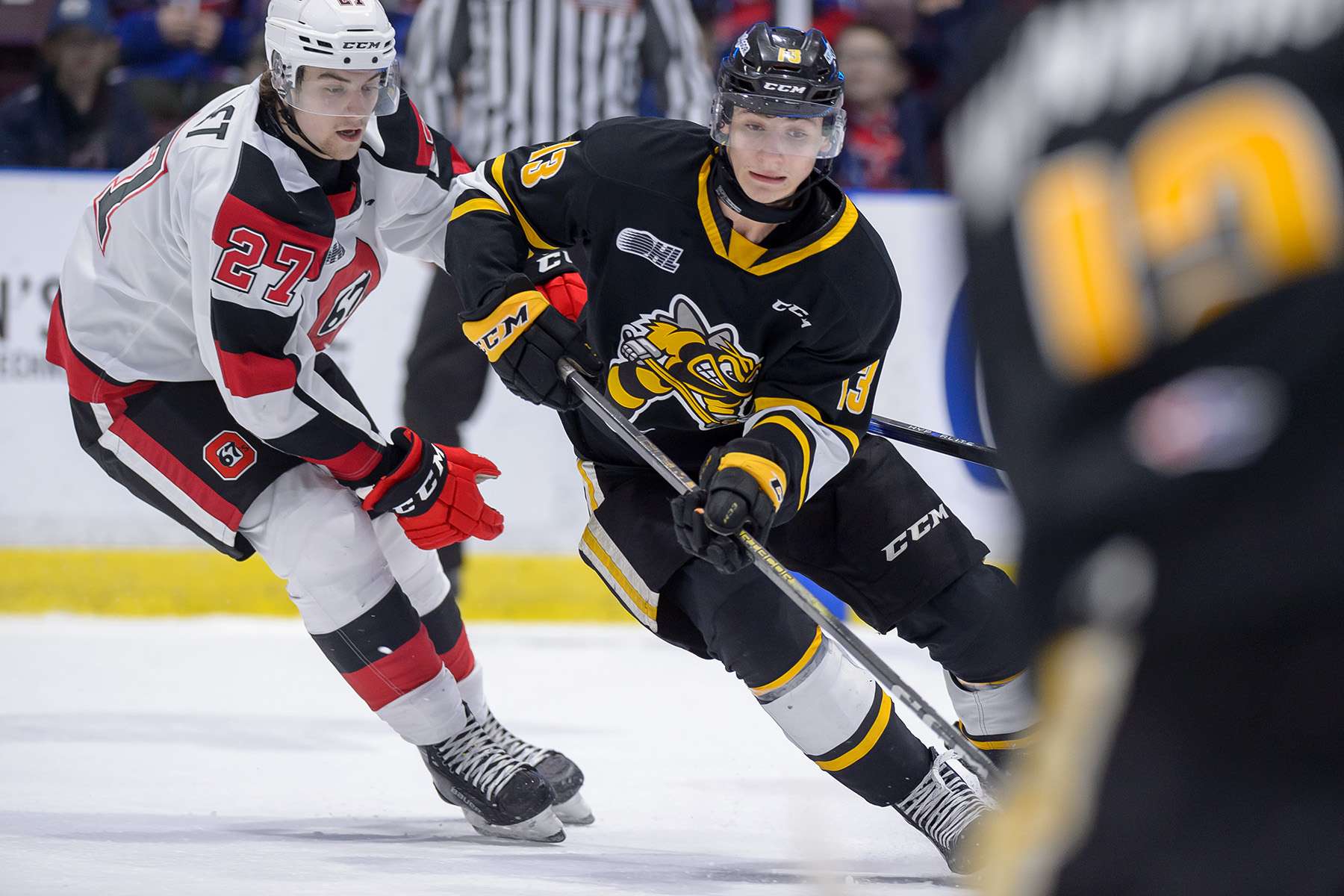 Sting squashed by 67's