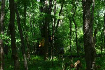 An excavator is seen in the Ojibway Nature Reserve in Windsor. (Photo courtesy Dan A. Ceti via Friends of Save Ojibway Facebook page)